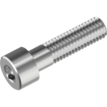 Insexskruv cylindrisk skalle